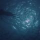 Image for article titled It's Cop Versus Shark in Jaws—Who's the Monster Now?